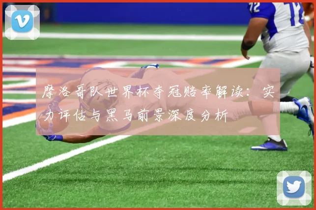 摩洛哥队世界杯夺冠赔率解读：实力评估与黑马前景深度分析