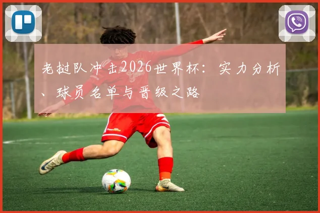 老挝队冲击2026世界杯：实力分析、球员名单与晋级之路