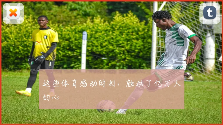 这些体育感动时刻,触动了亿万人的心